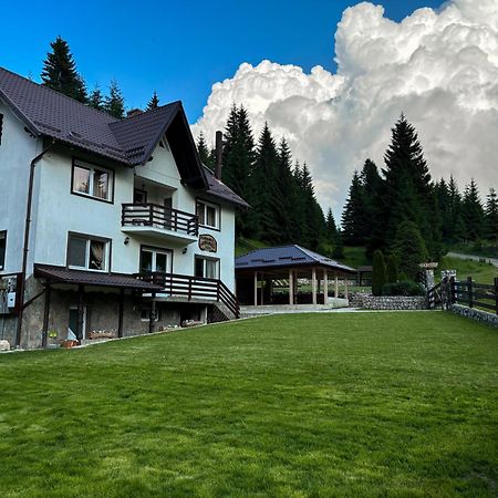 Pensiunea Poienita Ursului Фундата Экстерьер фото